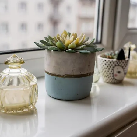 דירה Park Wilsona Comfy By Bookinghost פוזנן